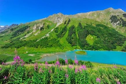 � ���� ��������: ������ ����� ������ �������� � �� ���������