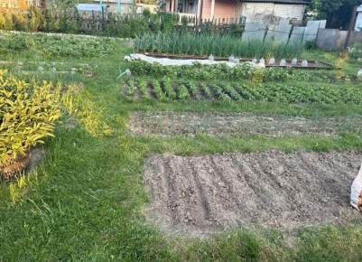 ������������ ����� ������ ��������: ��� ������� �������� �������� ��������