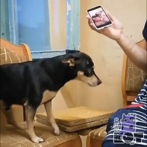 ����� ������ ���������