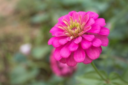 ������� ��������� ����� ����� ������