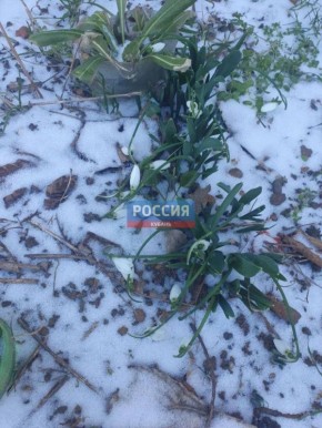 ����������� ��������� ��-��� ����� ����