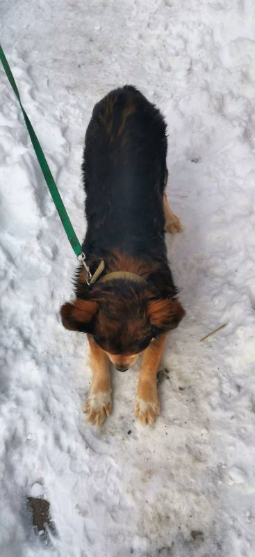 � ������ �� 6 ������� . � ������������� ���� �������, ��������������� ��� �������