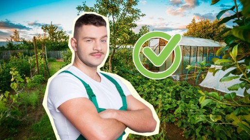 ����� �� ������ ��������� ������ ��� �� �������: ������� � ����� ��� ���������