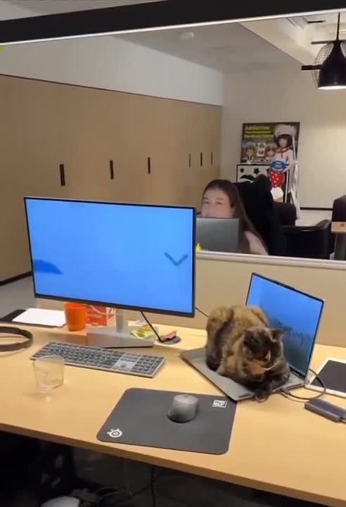 ����� ������� ������