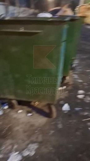 ��������. �������� ������ ��������� ����� �������� ������ �92 � ����������