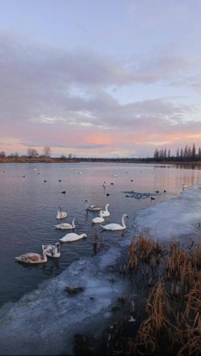 � ������ �� 6 ������� . � ������������� ���� �������, ��������������� ��� �������