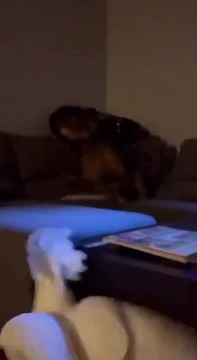 ������, ��� ��� �������?