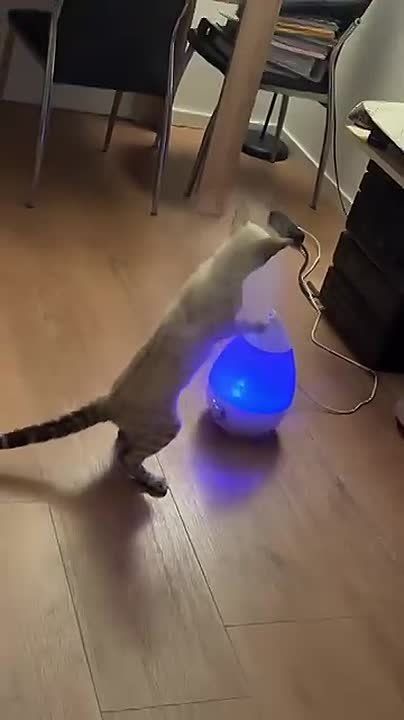 ����������� ����� �������� ������� � ���� �����!