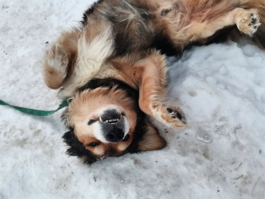 � ������ �� 7 �������. � ������������� ���� �������, ������� ������