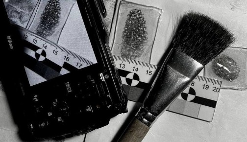 ������������ �������: ���������� ������������� ������ �������� ���� �� ����� � ���������