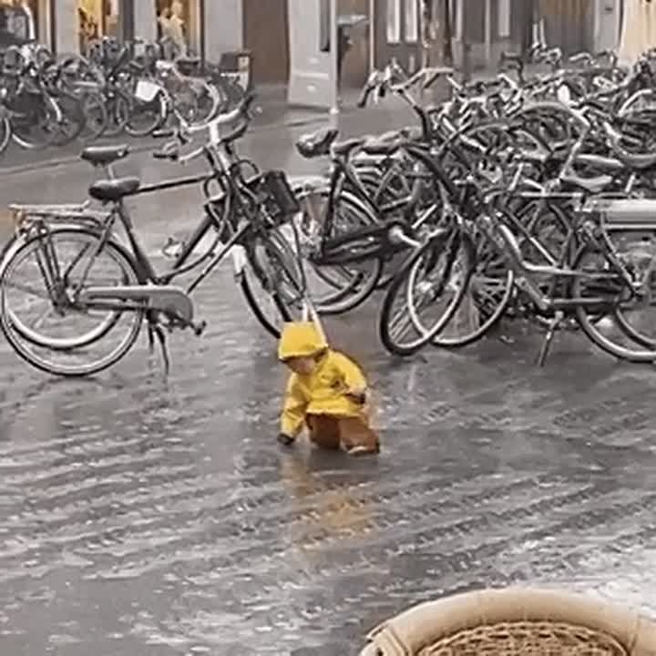 ���������..... ����������� ������ �� ��������� ������� ������. �� ���� ��������� ����� � ������� � ������ � 8 �� 10 �������