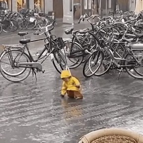 ���������..... ����������� ������ �� ��������� ������� ������. �� ���� ��������� ����� � ������� � ������ � 8 �� 10 �������