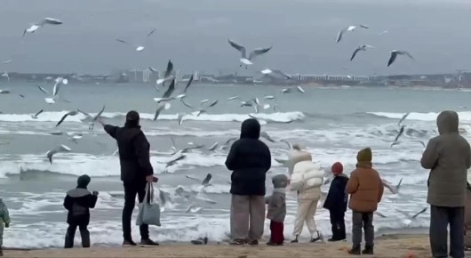 ��������� ��������. ����������� ������� ���������� ��������, �� ����� � ��������������� ������ ������� ������ ����� ����� ����������� ������