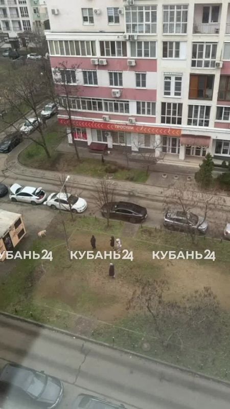 ������� ����. ������ ���� �� ����� ���������� � ���������� ��������� �����������, ������������� ����� �������� �� �����