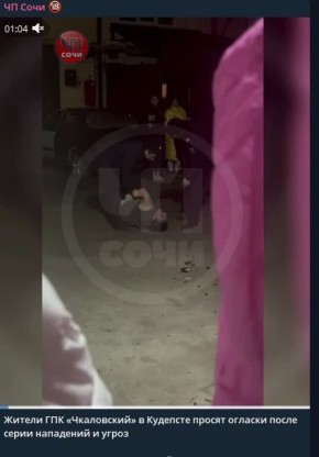 �������, ���������� � ����������, ��������� 26 ������ �������� ����