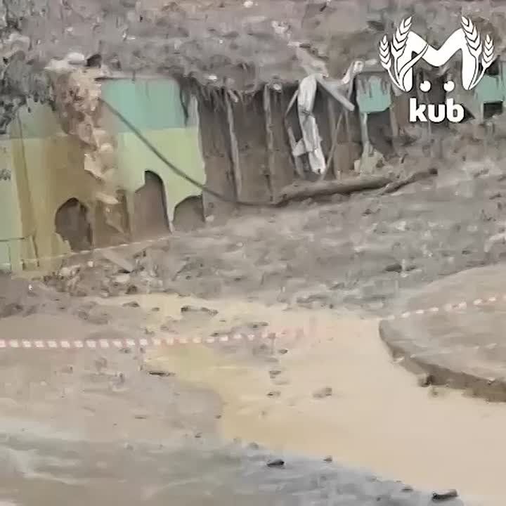 Херота подступает к домам в Сочи