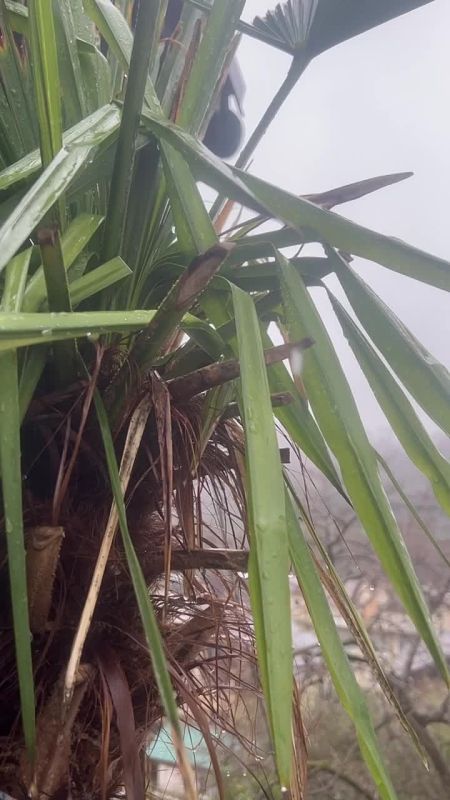 ������ ������ � ��������� ������ ���� - ���� ������ ��������� �� ������� �������