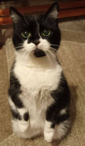 � ������ �� 8 ������� . � ������������� ���� ���������� ����������