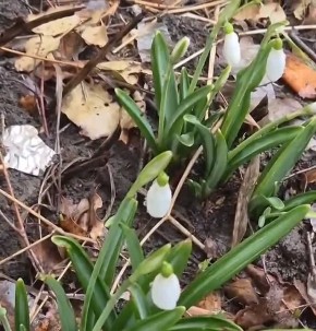 �� � ������, �� ������. ���� � ���������� ���� �� ������ ������, ������������ ����������