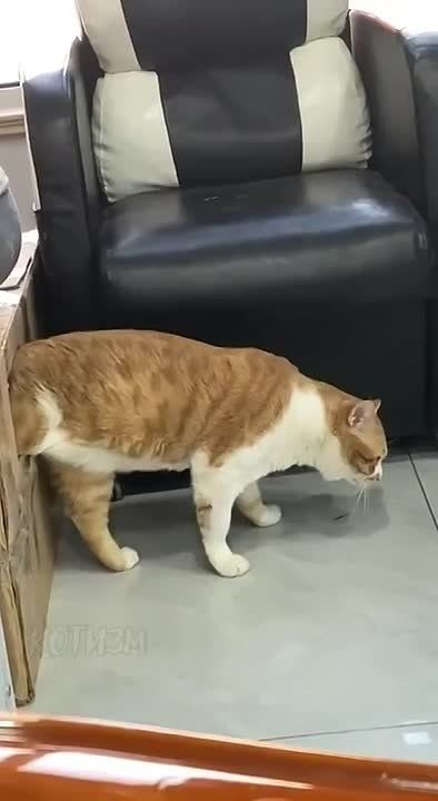 Это админ, "бодрый и энергичный", выходит в понедельник с утра на любимую работоньку