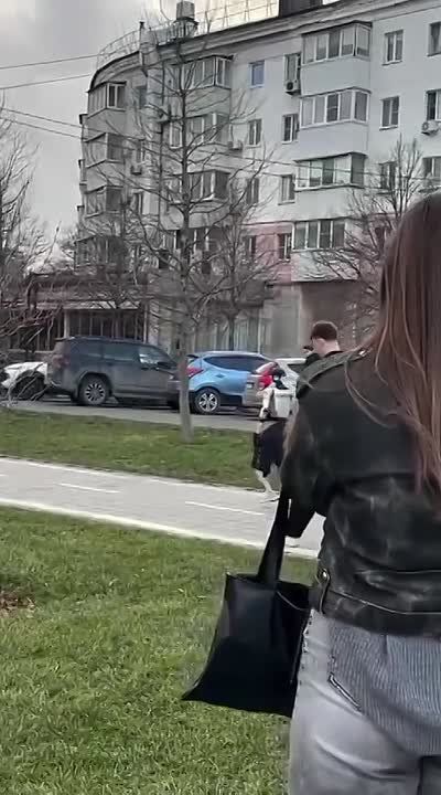 ������� ��� �����. � ������������� �� ���������� ���� ��������� ����������������� ������