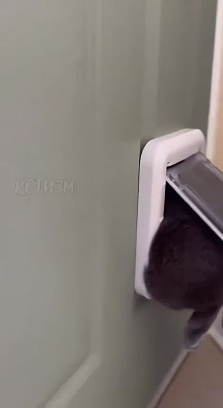 ����� ������������ ���� �� ������ ���������