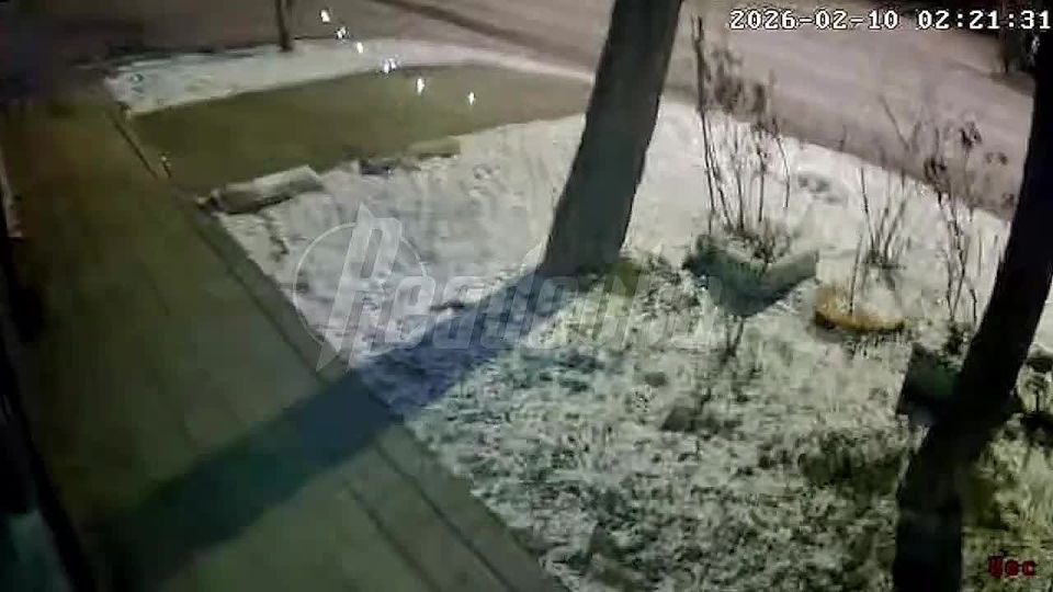 � ������������� ���� ��������� �������������