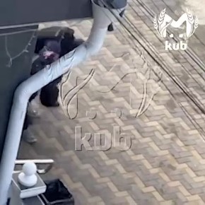 ��� ��� �������� ���������� � �������� �������������� ���������