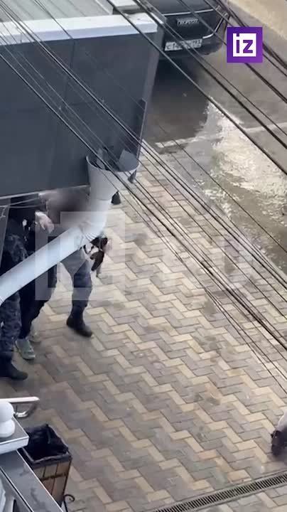 �� ������ "��������" � ����������������, ���������� �������� ��������, ��������� �������� � ��������� � �����