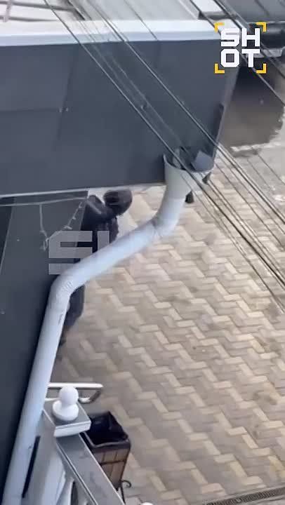 � ��� ��������, ��� �������� �������� � ����� ���������, ���������� ����