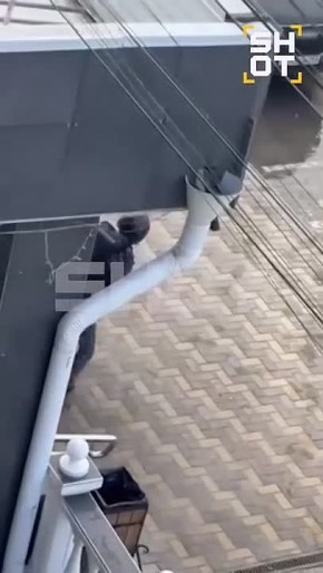 � ��� ��������, ��� �������� �������� � ����� ���������, ���������� ����