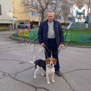 �������� ������� ���� ����� �������� � ��������� ��������� "���� ����"