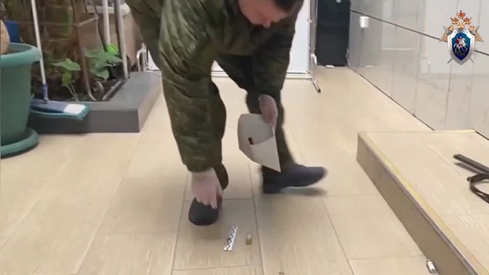 На месте, где студент открыл стрельбу в техникуме в Анапе, криминалисты изъяли огнестрельное оружие, гильзы и патроны