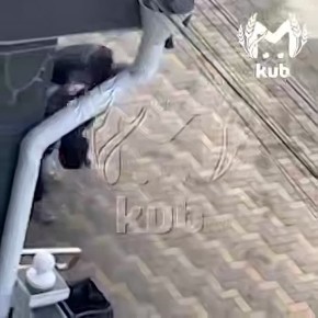 ��� �������� � ���������� ��������� �� �������� �������������� �������� � ���� ������: