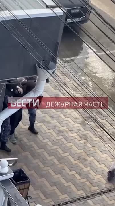 ����� ���������� ���������, ��������� �� �������� � �����