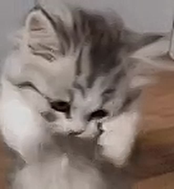 ��������� � ����������� ����������!