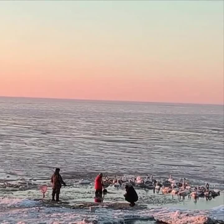 ������ � �������. ��������� �������� ������� ������� � ������� ������� � ��������� ������