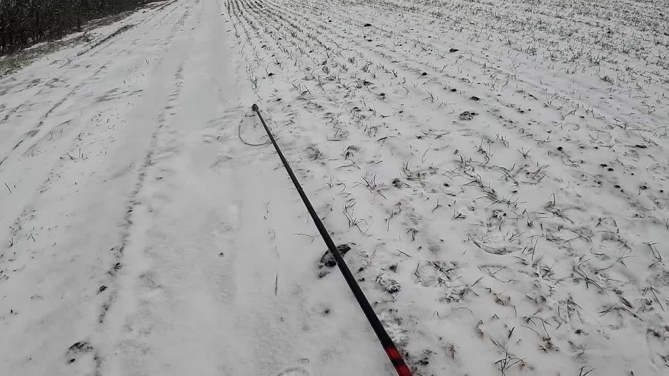 �����-���������� ��������� ������������� ������� ���������� ��� � ����������� �� ���������� �����������