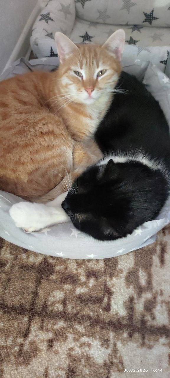 О погоде на 15 февраля. В Краснодарском крае переменная облачность О погоде на 15 февраля. В Краснодарском крае переменная облачность