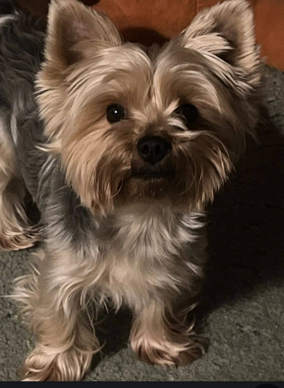 О погоде на 15 февраля. В Краснодарском крае переменная облачность О погоде на 15 февраля. В Краснодарском крае переменная облачность