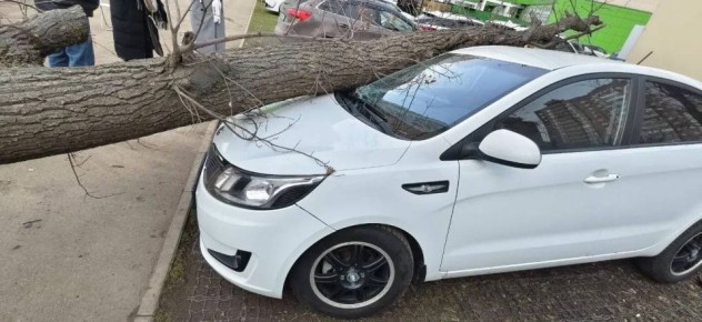 � ���������� ������ ������� �� ������ ��������