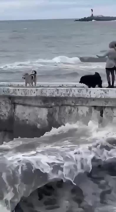 ������� ������ ����������� � ���� �������. � �� ������ � �����. � ��������� ���� ������ ����� �����. ��������� ������ �������� ����� �� �������� ���. ������ �����������, ��� ��������, � � �������� ������ ���� ����� 24 ����