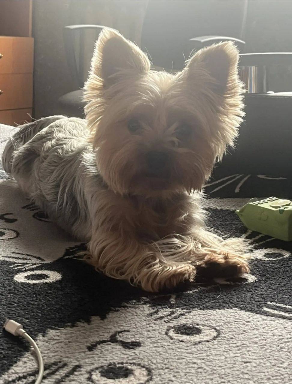 О погоде на 16 февраля. В Краснодарском крае переменная облачность О погоде на 16 февраля. В Краснодарском крае переменная облачность