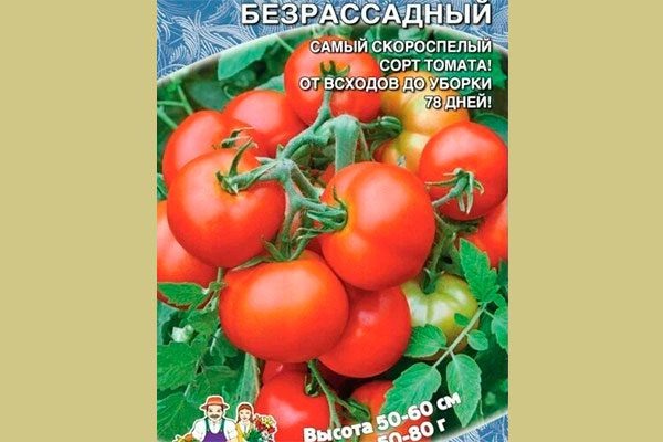 Томаты без рассады: секреты успеха для современных садоводов