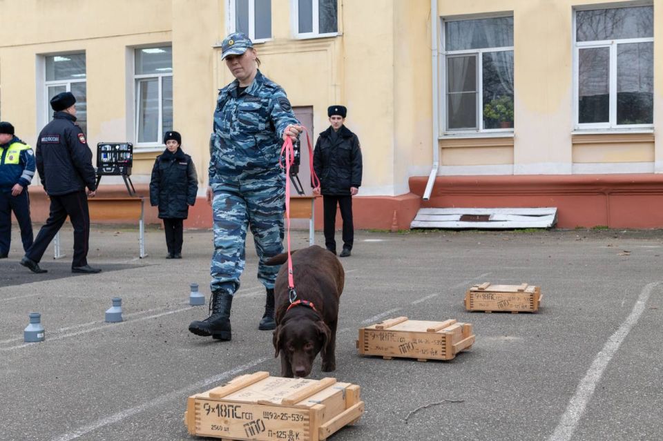 ���������� ������������� ������� ������� ����������� ����������� ��� ����������