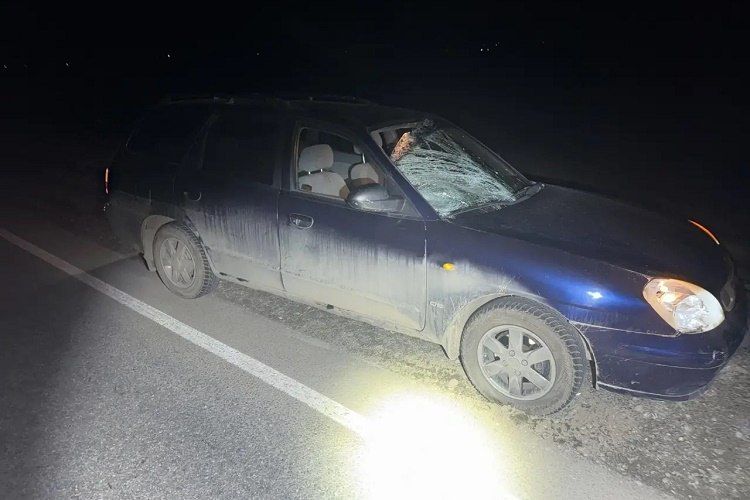 �� ������� �������������� ���� 16 ������� 2026 ���� ������������ ���������������� �������������: