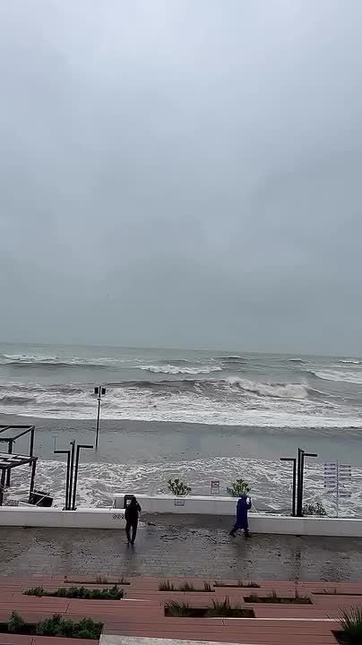 � ���� ������� ��������� ��������