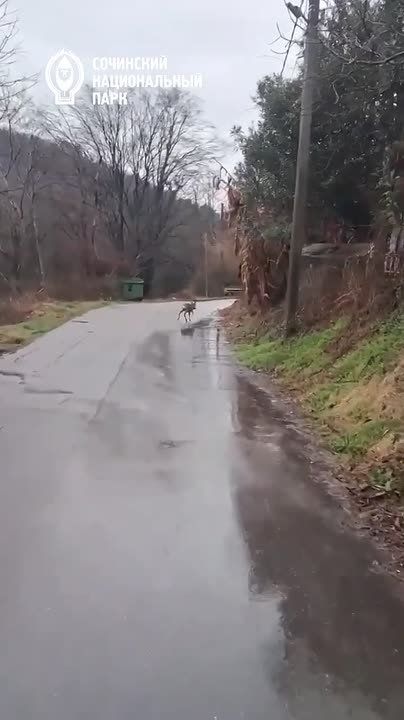 �� ������ �����!. ���� ������ �� ��������� �� ������� ������