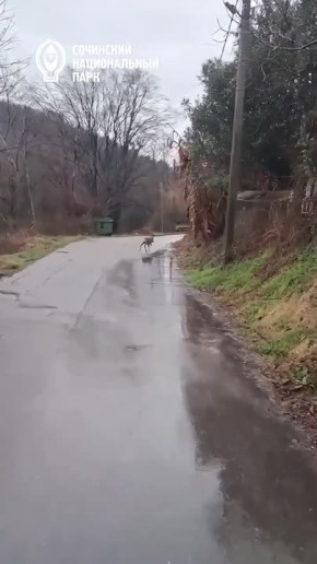 �� ������ �����!. ���� ������ �� ��������� �� ������� ������