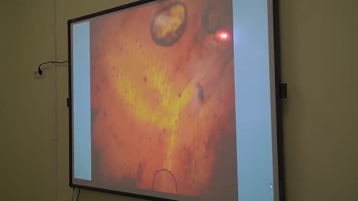 ������� ����� � 61 ��������� ������� ��������� � ����������